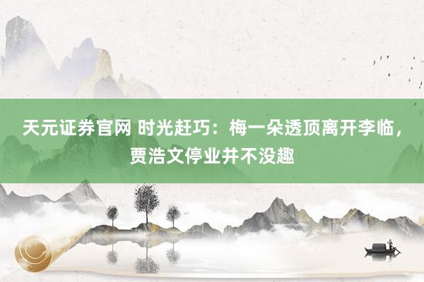 天元证券官网 时光赶巧：梅一朵透顶离开李临，贾浩文停业并不没趣