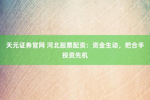 天元证券官网 河北股票配资：资金生动，把合手投资先机