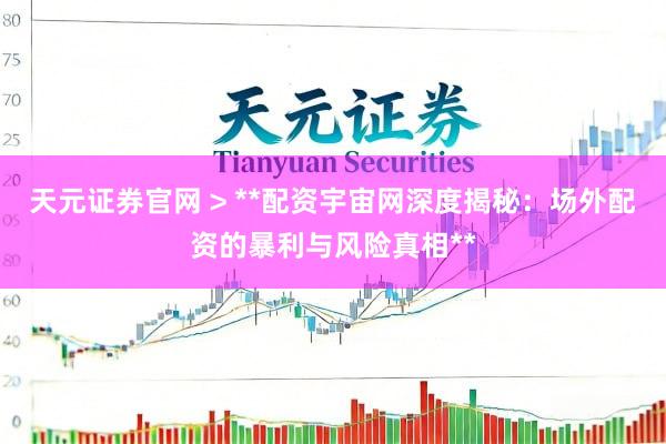 天元证券官网 > **配资宇宙网深度揭秘：场外配资的暴利与风险真相**